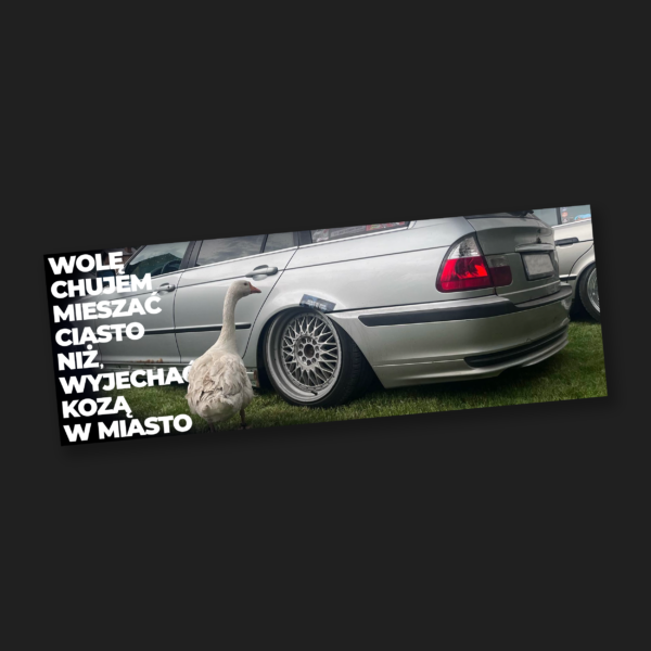 Koza w miasto - SLAP